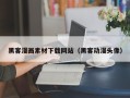 郑州黑客漫画素材下载网站（黑客动漫头像）